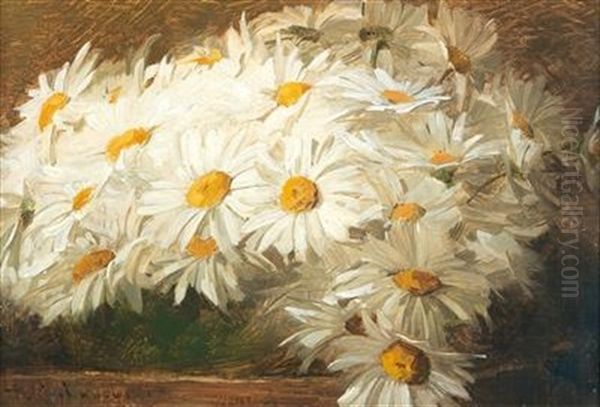 Marguerites by Roman Kochanowski