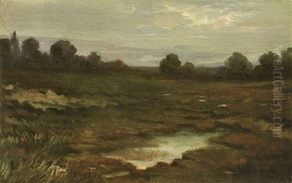 Flood-waters Landscape Oil Painting by Roman Kochanowski