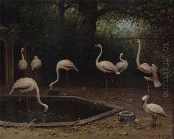 Flamingoes In The Zoo by Marinus Adrianus Koekkoek the Younger