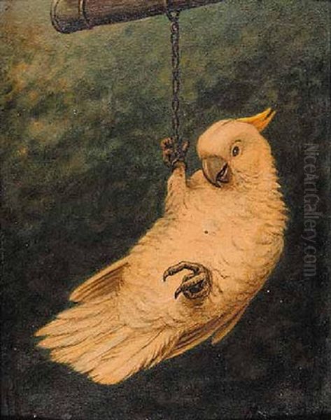 Untitled - Parrot Oil Painting by Marinus Adrianus Koekkoek the Younger