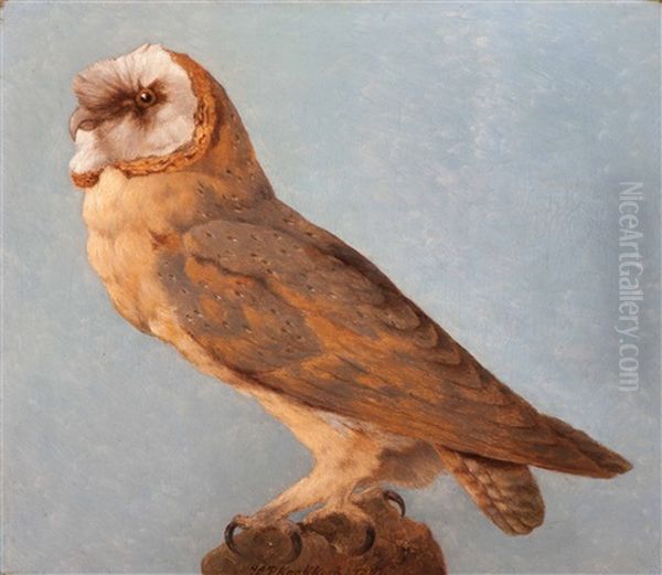 Barn Owl Oil Painting by Hendrik Pieter Koekkoek