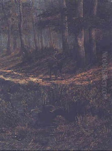 A Stag And Wild Ducks In A Forest Oil Painting by Hendrik Pieter Koekkoek