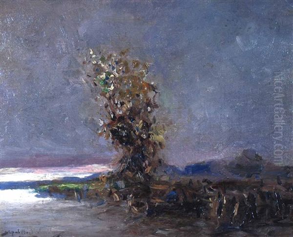 Paisaje Con Arbol Oil Painting by Stephen Robert Koekkoek