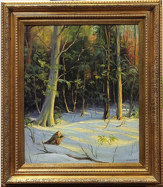 Winter Forest Oil Painting by Walter Koeniger