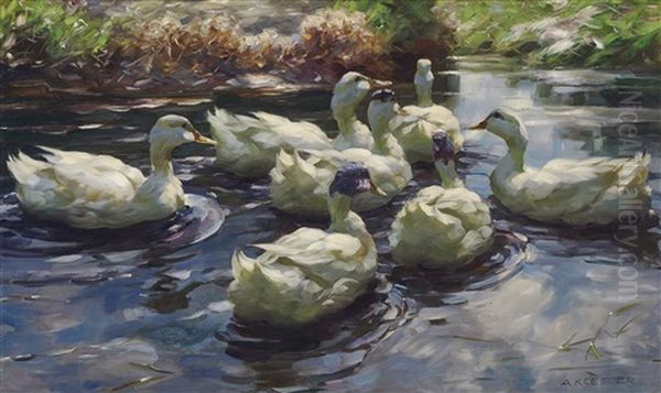 Seven Ducks On Sunny Reed Water Oil Painting by Alexander Max Koester