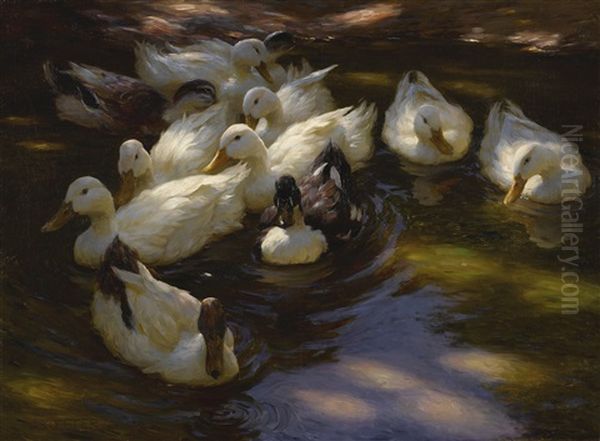 Ducks In The Morning Sun Oil Painting by Alexander Max Koester