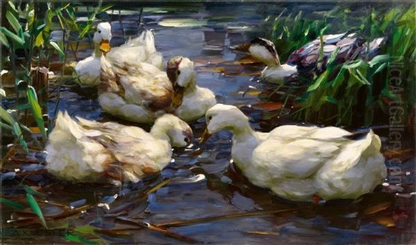 Five Ducks On The Water Oil Painting by Alexander Max Koester