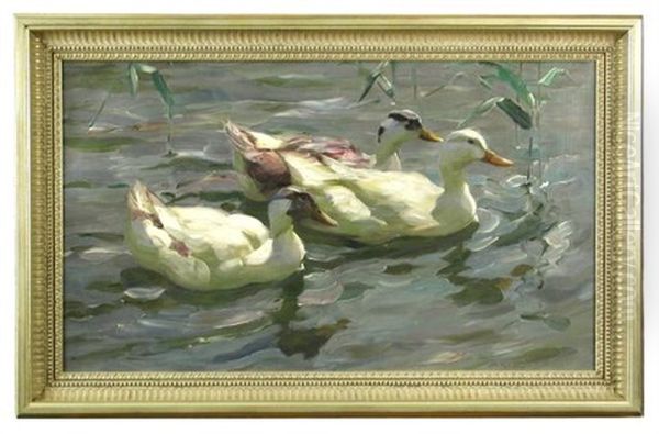 Three Ducks On A River (drei Enten) Oil Painting by Alexander Max Koester