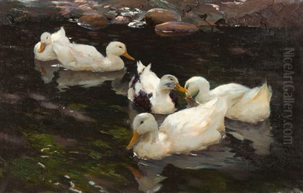 Funf Enten Im Teich Oil Painting by Alexander Max Koester