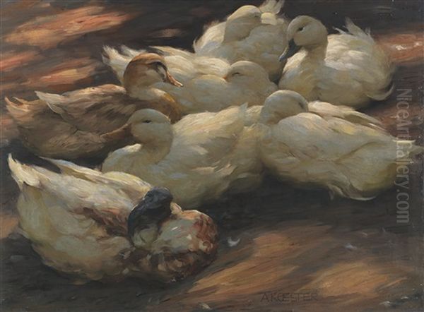 Enten Am Boden Lagernd Oil Painting by Alexander Max Koester