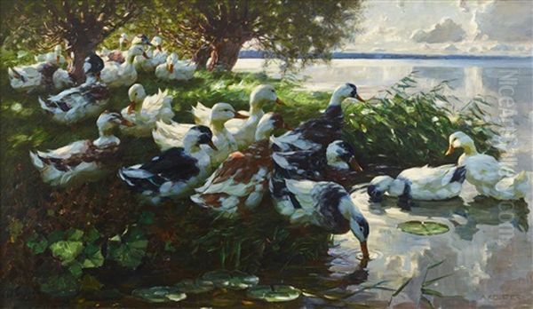 Ducks Resting By The Lake Oil Painting by Alexander Max Koester