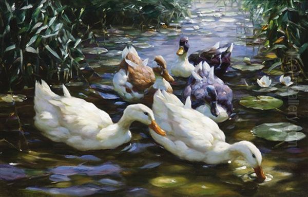 Five Ducks Oil Painting by Alexander Max Koester