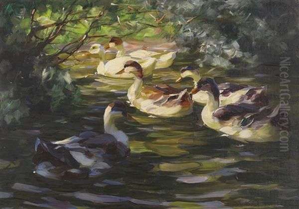 Sechs Enten Auf Dem Wasser Unter Uferstrauchern Oil Painting by Alexander Max Koester