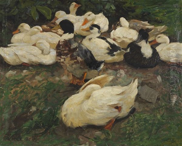 Erwachende Enten (entenfamilie) Oil Painting by Alexander Max Koester