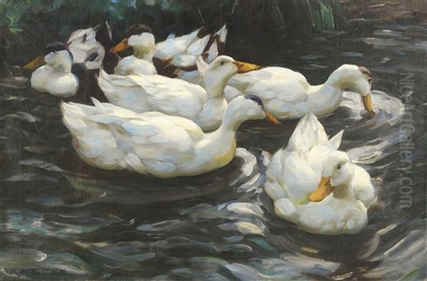 Sechs Enten Im Wasser Oil Painting by Alexander Max Koester