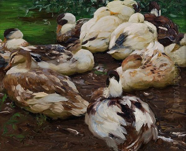 Sleeping Ducks Oil Painting by Alexander Max Koester