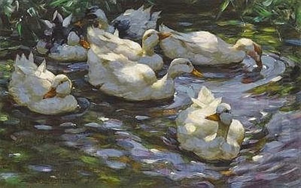 Sieben Enten Im Wasser Oil Painting by Alexander Max Koester