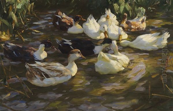 Enten Im Teich (enten Am Bach) Oil Painting by Alexander Max Koester