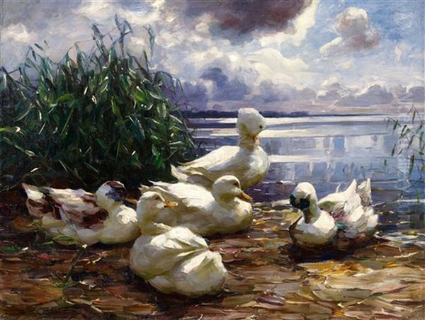 Ducks At The Shore Oil Painting by Alexander Max Koester