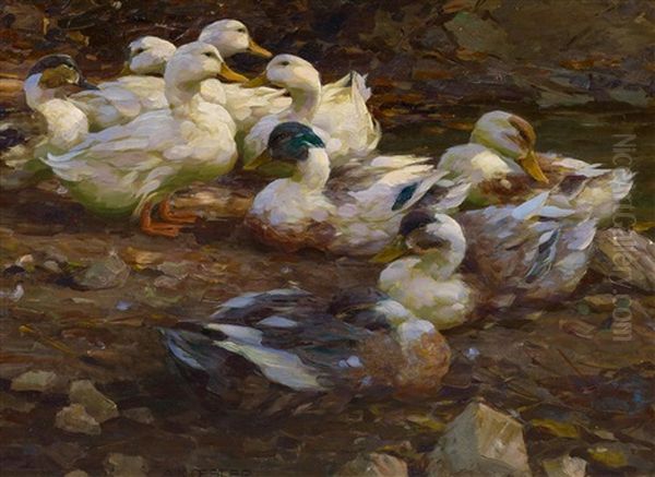 Enten Im Abendlicht Oil Painting by Alexander Max Koester