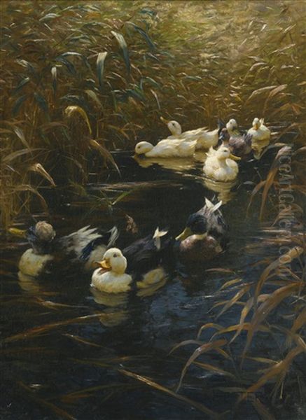 Ducks In Autumn Oil Painting by Alexander Max Koester