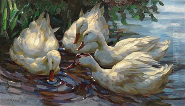 Four Ducks On A Pond by Alexander Max Koester