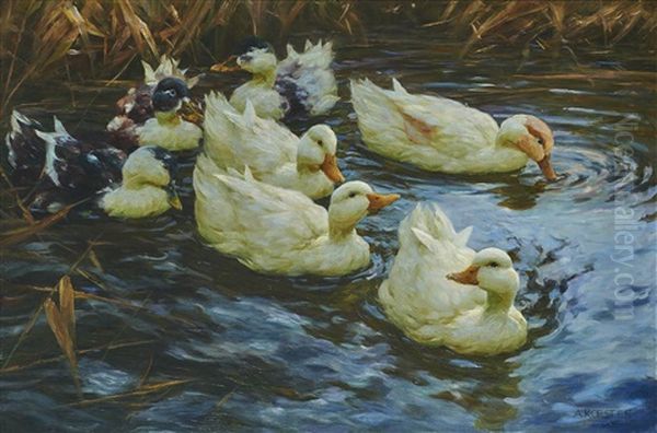 Sieben Enten Im Schilfwasser Oil Painting by Alexander Max Koester