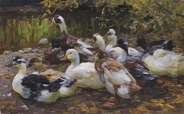 Meine Enten (elf Enten Am Ufer) Oil Painting by Alexander Max Koester