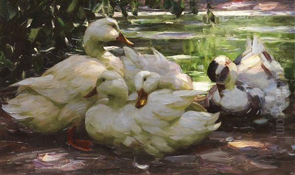 Enten Am Ufer Oil Painting by Alexander Max Koester