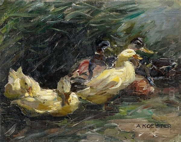 A Study Of Ducks Oil Painting by Alexander Max Koester