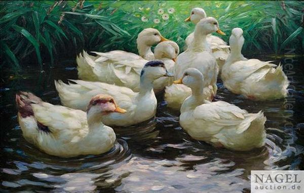 Acht Weise Enten Im Wasser Oil Painting by Alexander Max Koester