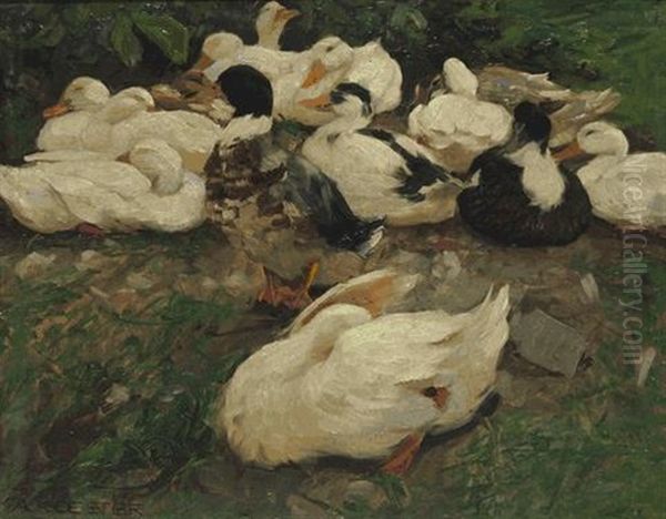 Erwachende Enten (entenfamilie) Oil Painting by Alexander Max Koester