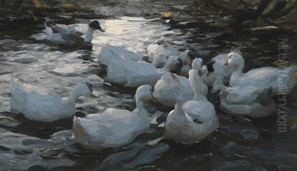 Elf Enten Am Teich Oil Painting by Alexander Max Koester