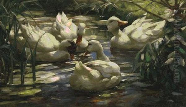 Enten Auf Einem Waldweiher Oil Painting by Alexander Max Koester