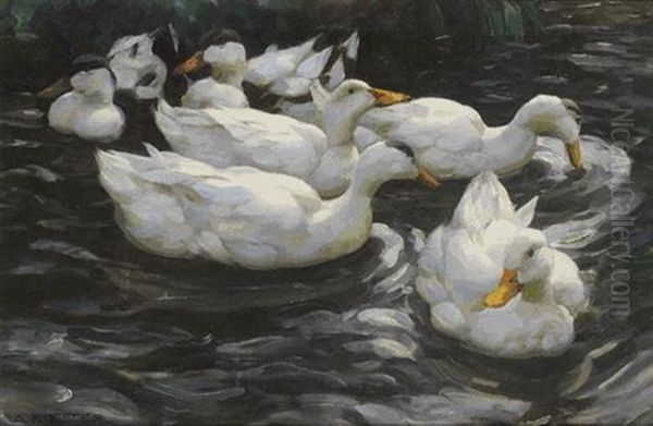 Sechs Enten Im Wasser Oil Painting by Alexander Max Koester