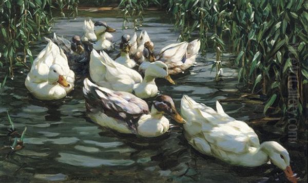 Enten Im Schilfteich - Canards Dans Les Roseaux Oil Painting by Alexander Max Koester