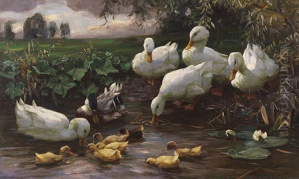 Erpel Mit Enten Und Kuken Am Seeufer Oil Painting by Alexander Max Koester