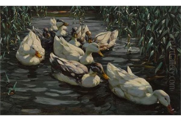 Acht Enten Im Schilfteich Oil Painting by Alexander Max Koester