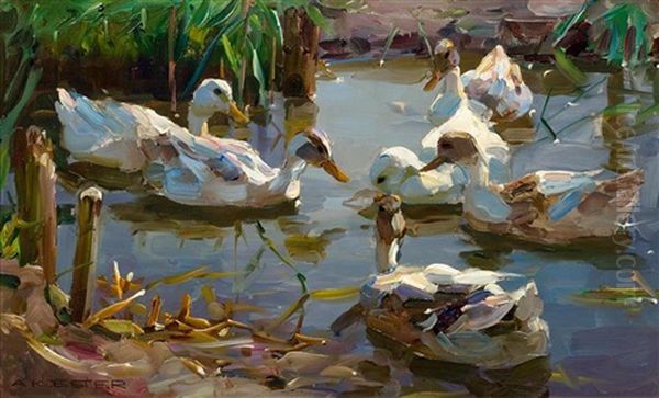 Sechs Enten Im Wasser Am Seeufer by Alexander Max Koester