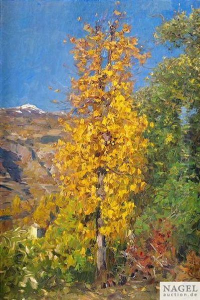 Herbstbirke Mit Sonne, Klausen Oil Painting by Alexander Max Koester