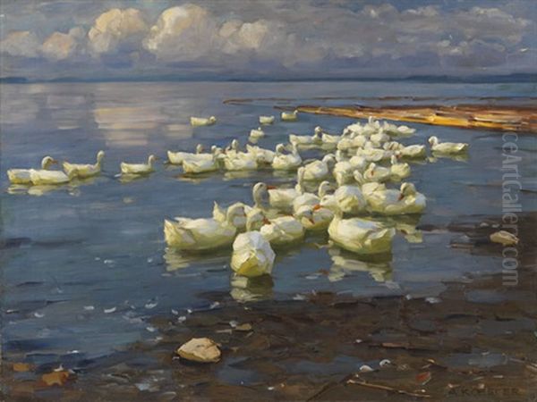 Enten Im See Oil Painting by Alexander Max Koester