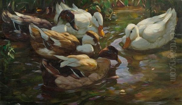 Funf Enten Im Teich Oil Painting by Alexander Max Koester