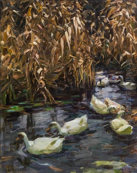 Acht Enten Im Herbstschilf Oil Painting by Alexander Max Koester