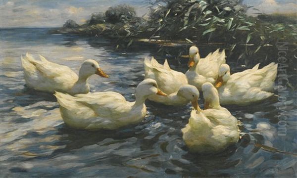 Sechs Enten (six Ducks) Oil Painting by Alexander Max Koester