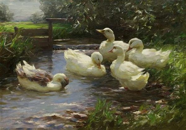 Enten Am Stauwehr Oil Painting by Alexander Max Koester