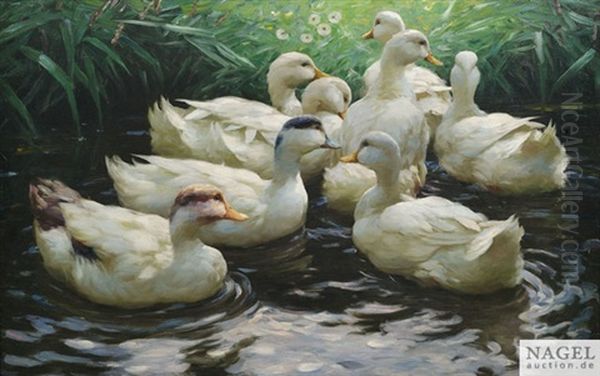 Ans Ufer. Acht Weise Enten Im Wasser Oil Painting by Alexander Max Koester