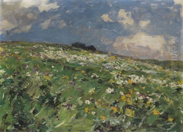 Sommerwiese Oil Painting by Alexander Max Koester