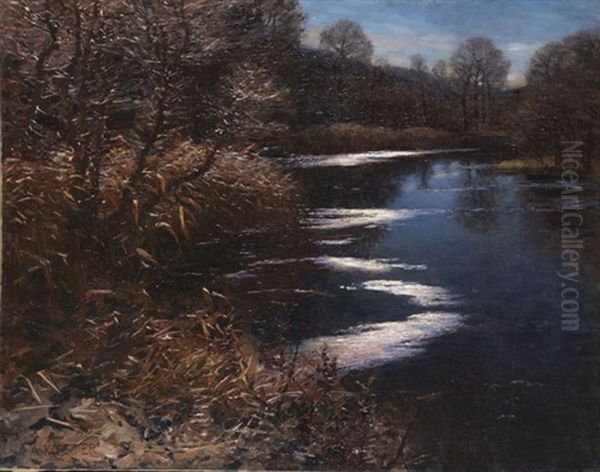 Der Weiher Oil Painting by Alexander Max Koester