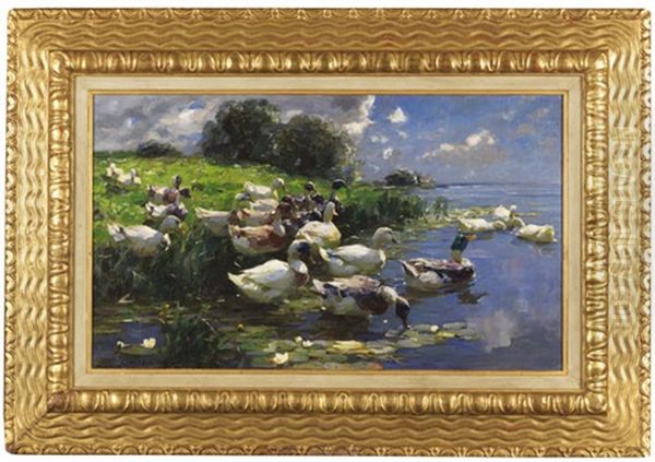 Enten (seelandschaft) Oil Painting by Alexander Max Koester