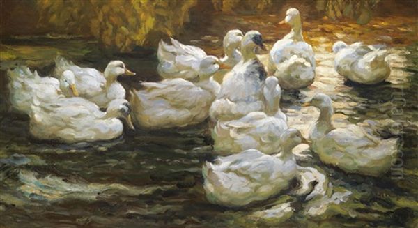 Heimwarts-enten Im Sonnenlicht Oil Painting by Alexander Max Koester